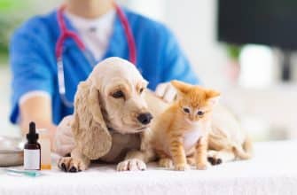 Какие прививки необходимы собакам и кошкам